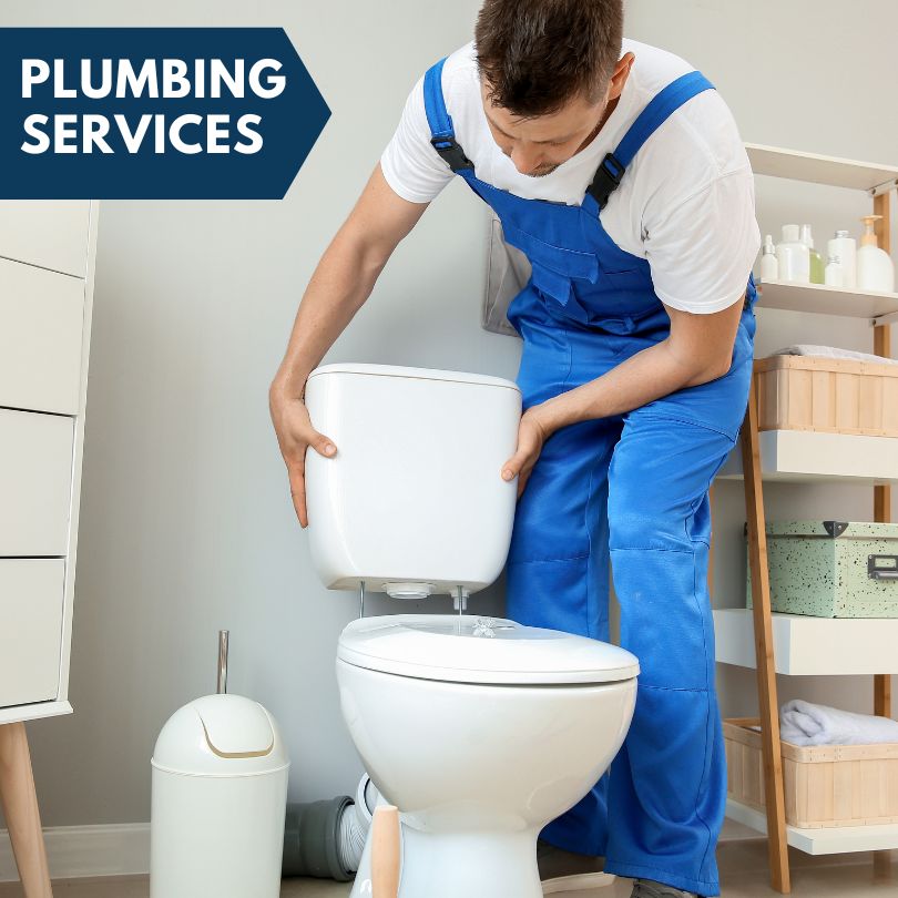 Plumbing Company in Millstadt, IL